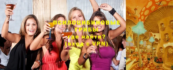 твердый Алзамай