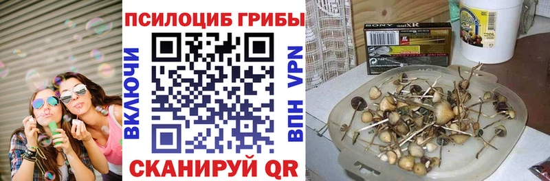 Галлюциногенные грибы мицелий Тайшет